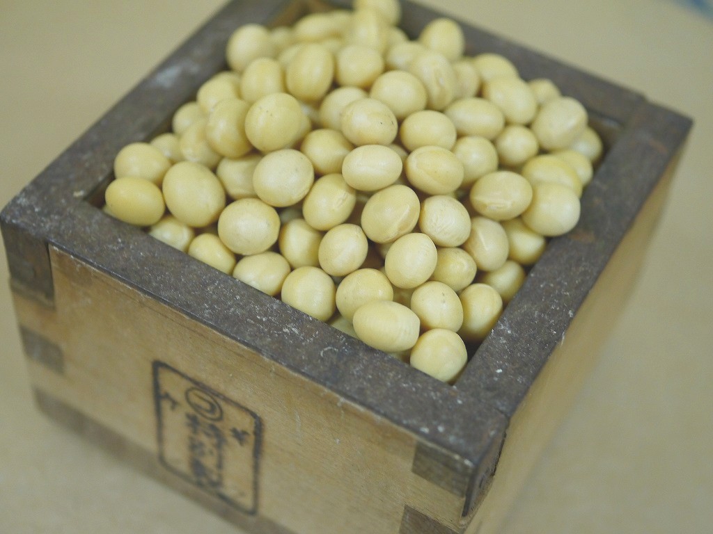 味噌用大豆 里のほほえみ（7kg）