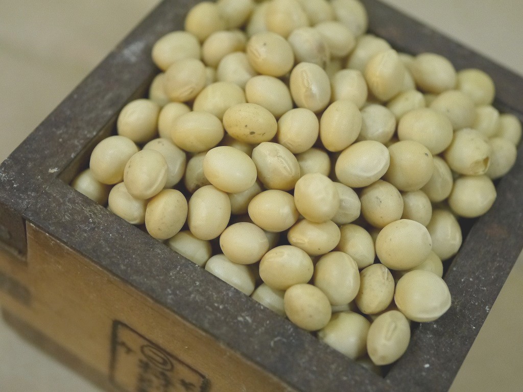 味噌用大豆 秋粒（1kg）