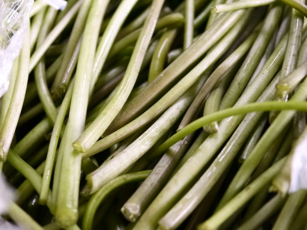 山形もろみわさび(1kg)