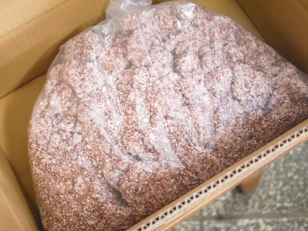 赤米麹 生麹 紅ロマン(5kg)