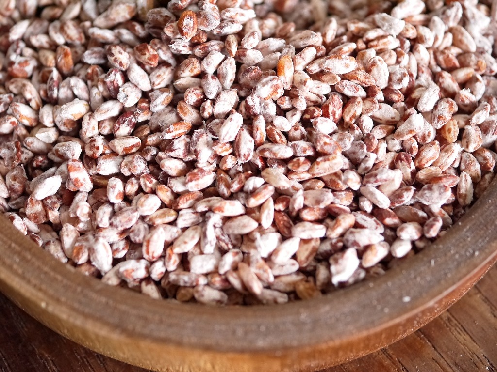 無農薬 有機肥料 乾燥赤米麹 乾燥麹（110g）