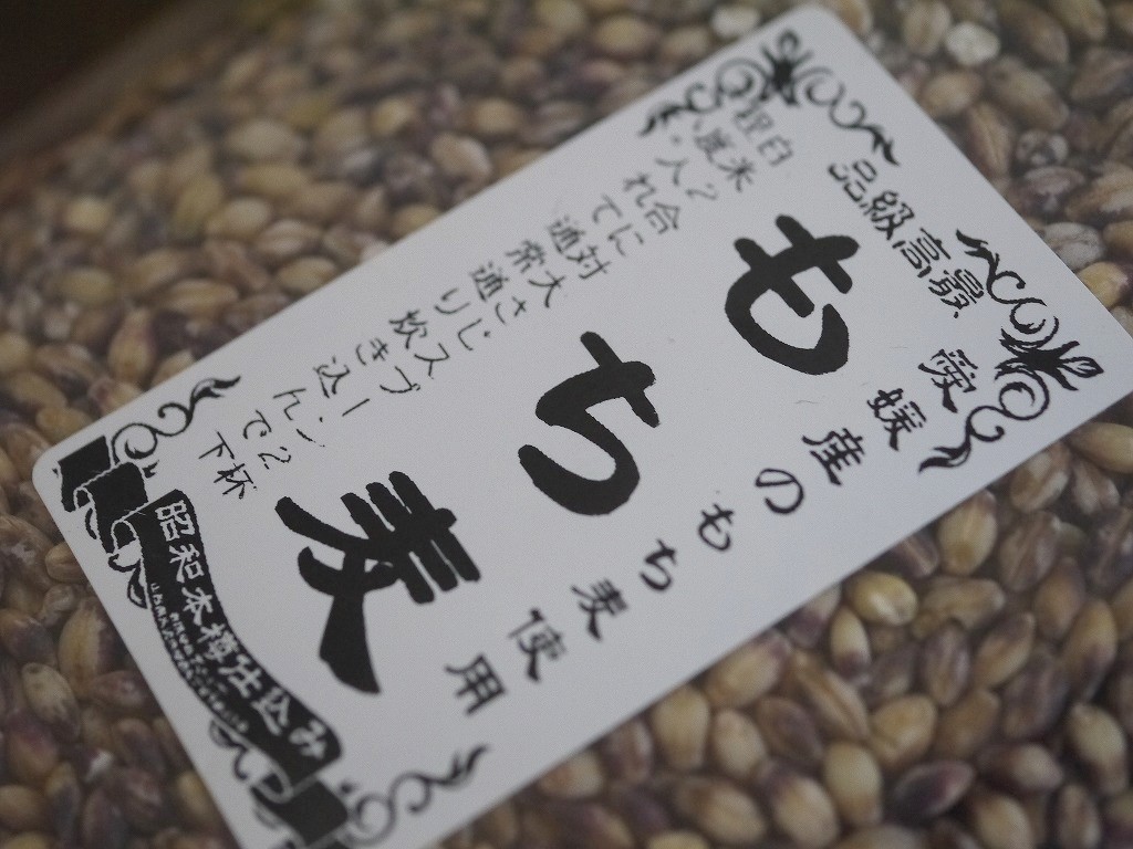 もち麦 ダイシモチ 紫(800g)