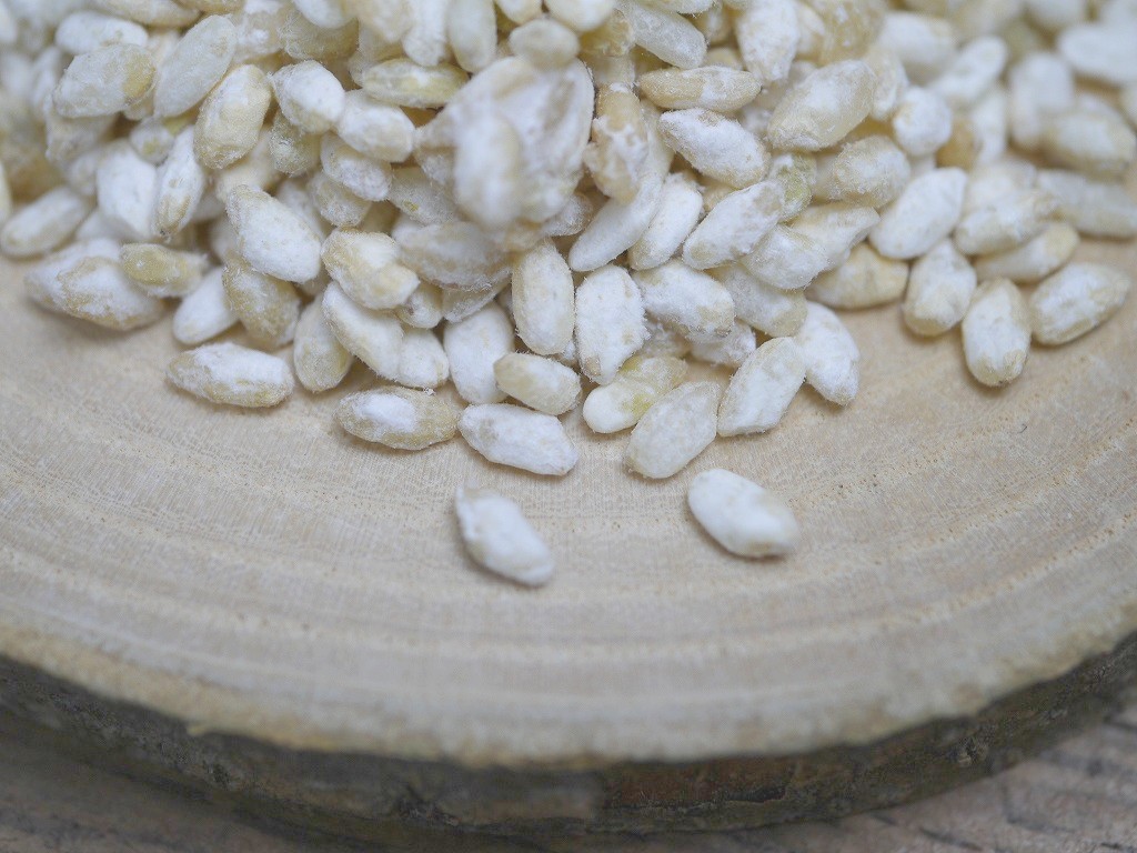 玄米麹粉末（1kg）