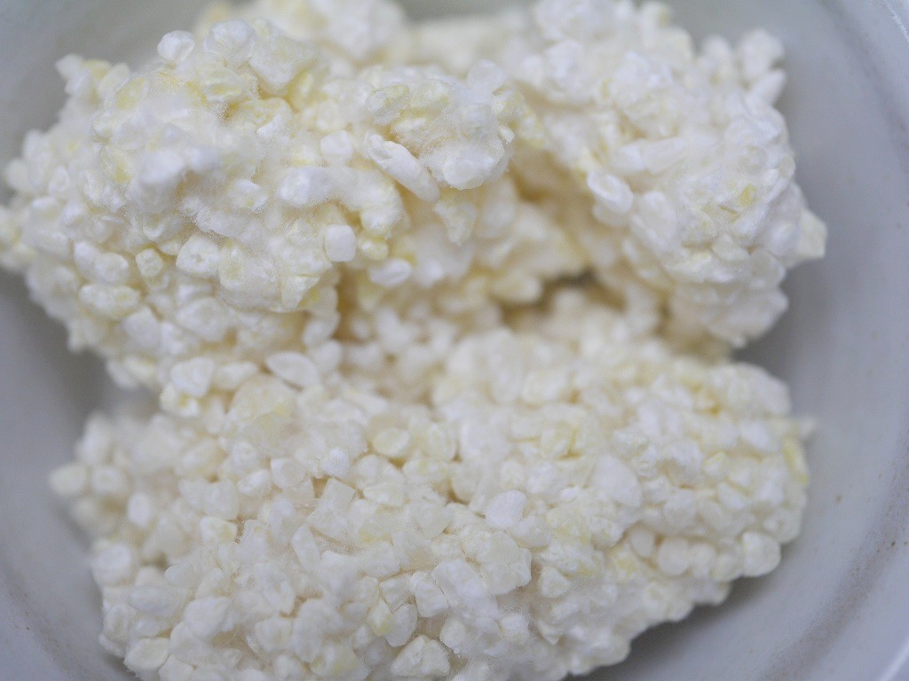 白酸麹 生麹(1kg)