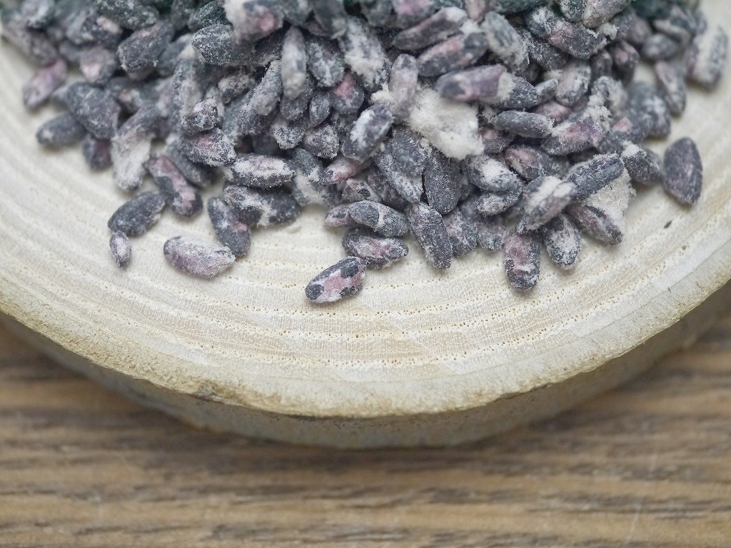 黒酸麹粉末(100g)