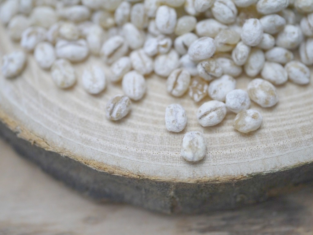 大麦麹粉末 蓋製麹（1kg）