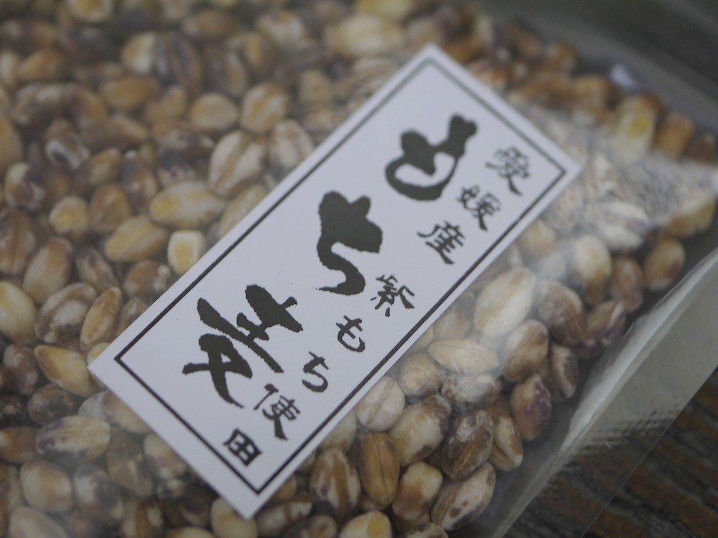 もち麦 特選大粒 ダイシモチ 紫(45g)