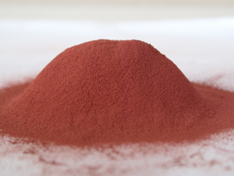 赤い甘酒 紅麹生甘酒(1kg×6個)約1ヶ月分
