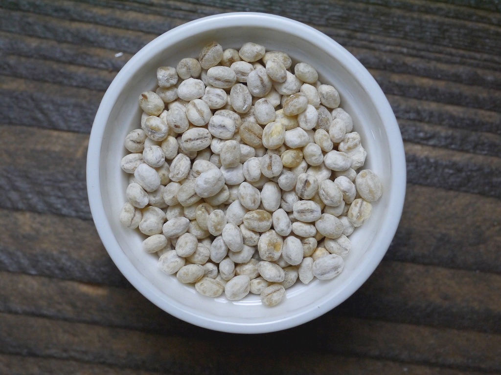 乾燥麦麹 乾燥麹(800g)