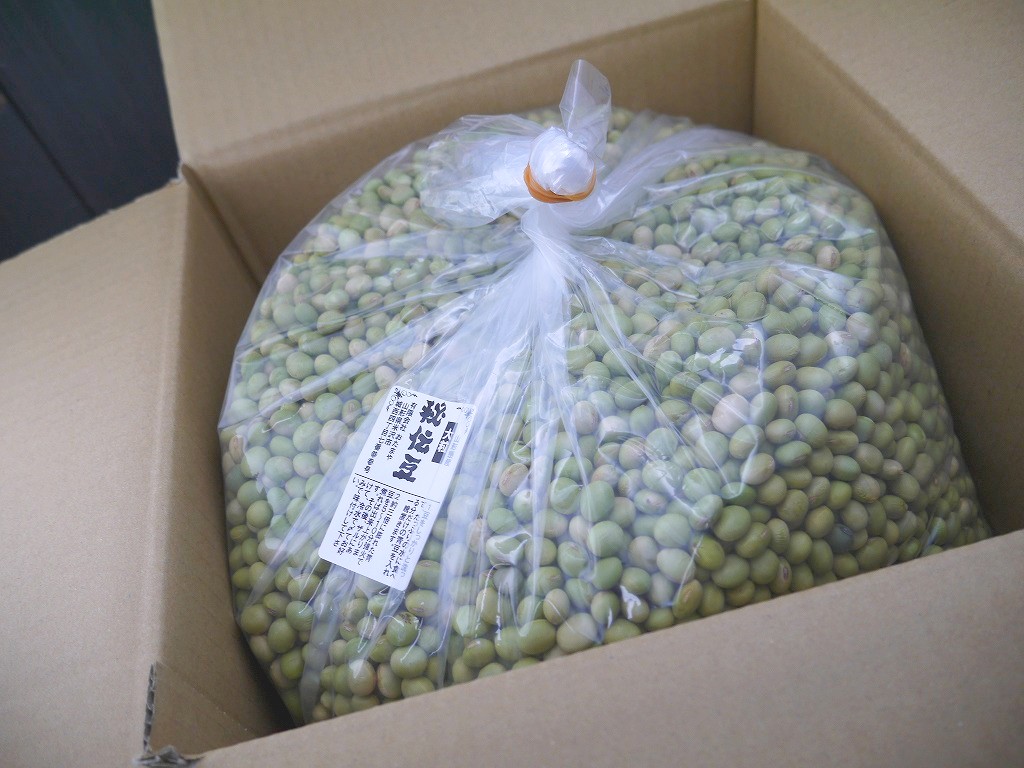 秘伝豆 大粒（10kg）青大豆