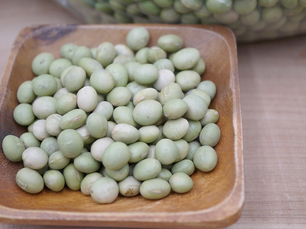 秘伝豆 大粒（5kg×2）青大豆