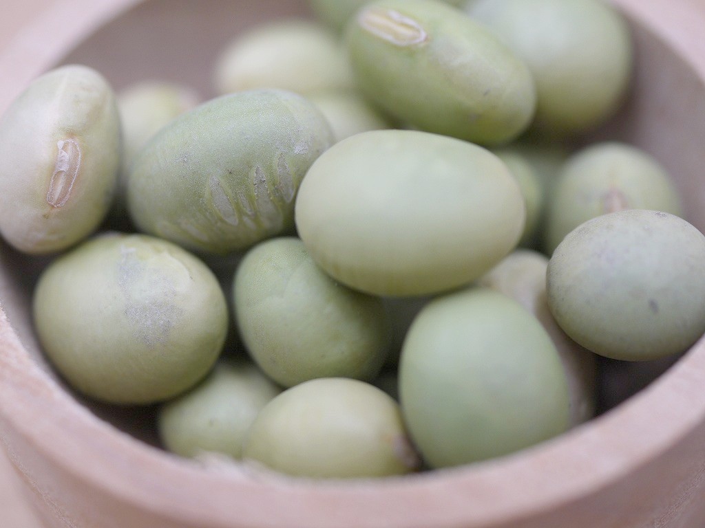 秘伝豆 大粒（5kg×2）青大豆