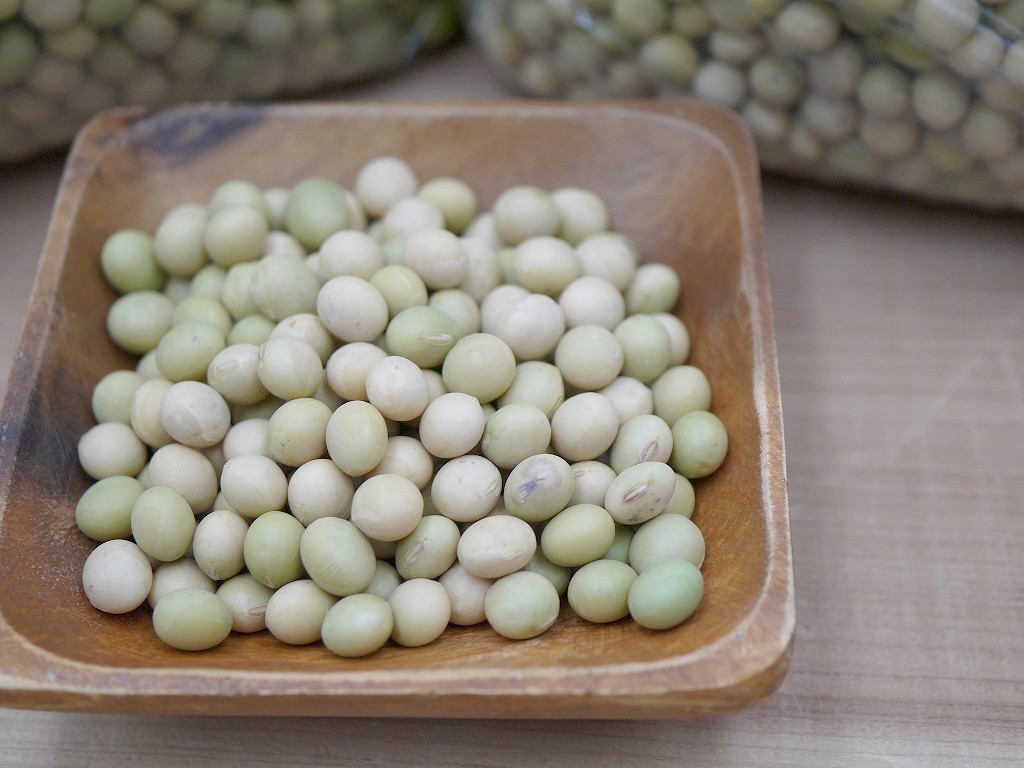 香り豆 大粒（5kg）青大豆