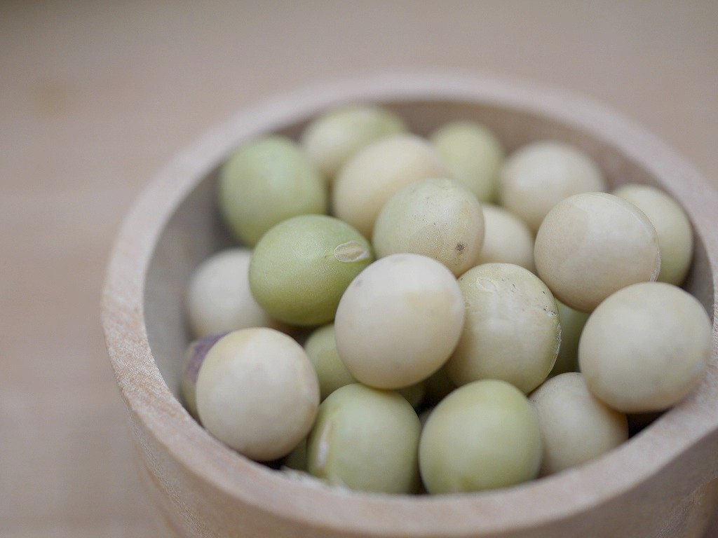 香り豆 大粒（5kg）青大豆 | おたまや 無添加味噌・甘酒・麹販売