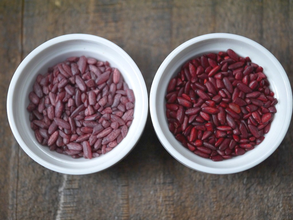 紅麹 丸粒 11(ジュウイチ)GABA(500g)