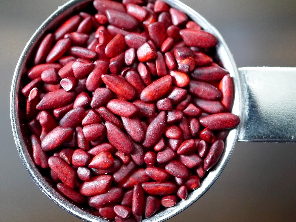 紅麹 丸粒 11（ジュウイチ）ＧＡＢＡ（500g）