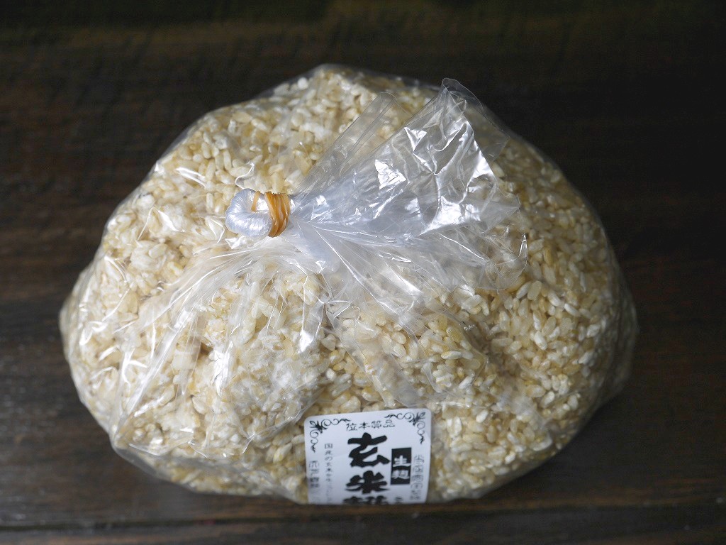 玄米麹 生麹（1kg）