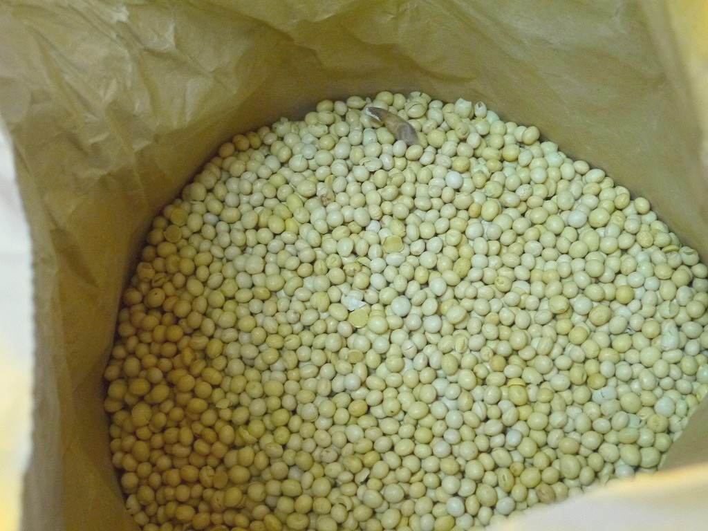 【訳あり】令和4年産 味噌用大豆 里のほほえみ 25kg詰
