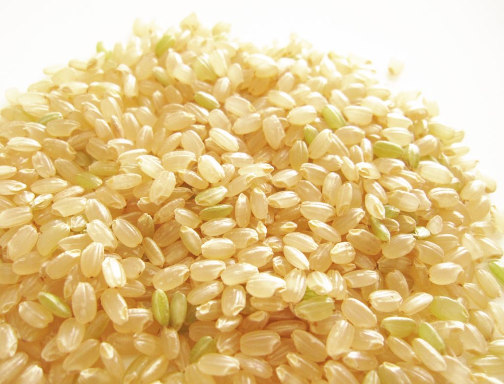 無農薬 有機肥料 令和元年産 コシヒカリ 玄米(30kg)