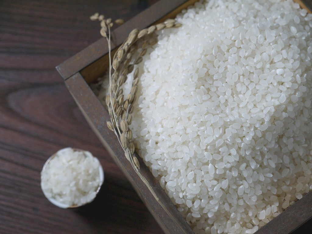 無農薬 有機肥料 米麹 生麹（5kg×2個）