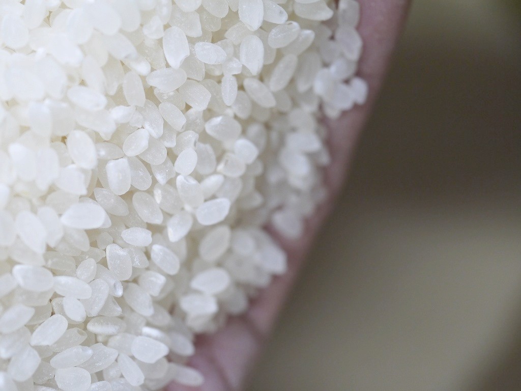 無農薬 有機肥料 令和元年産 コシヒカリ 玄米(30kg)