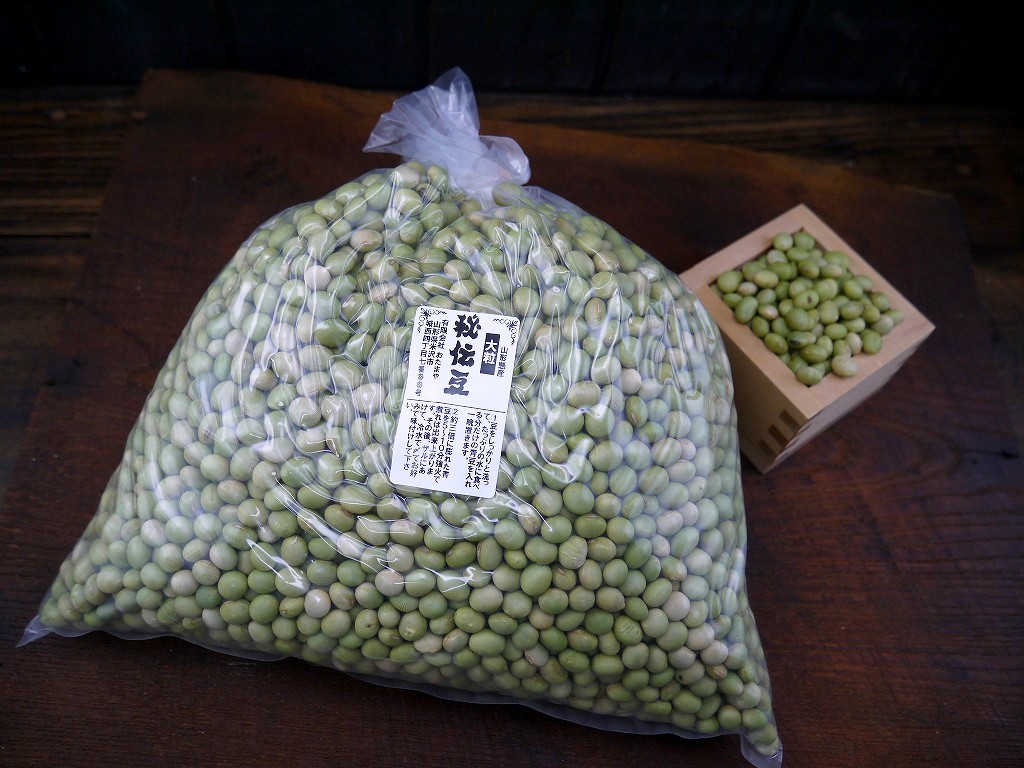 新大豆　令和2年産　山形県産　秘伝豆　大粒　青大豆　5キロ