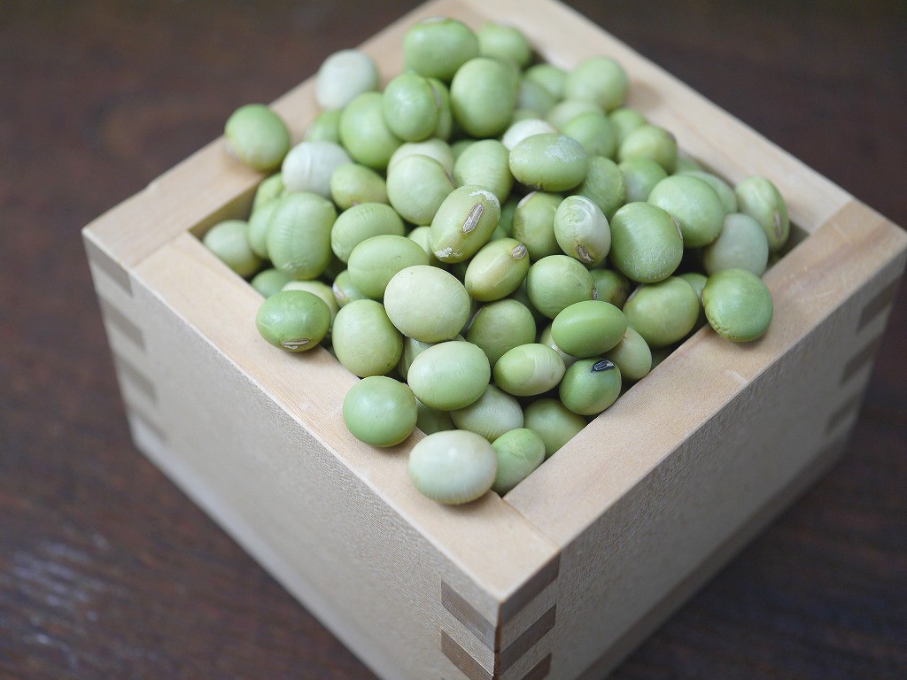 秘伝豆 大粒(3kg)青大豆