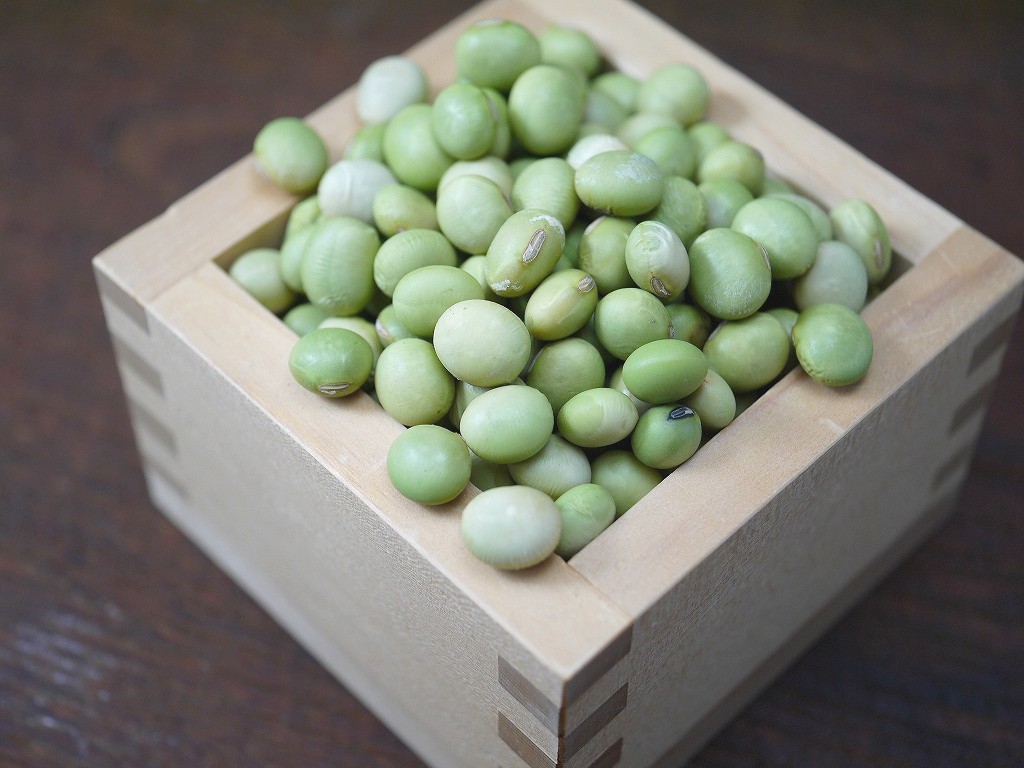 秘伝豆 大粒（1kg）青大豆