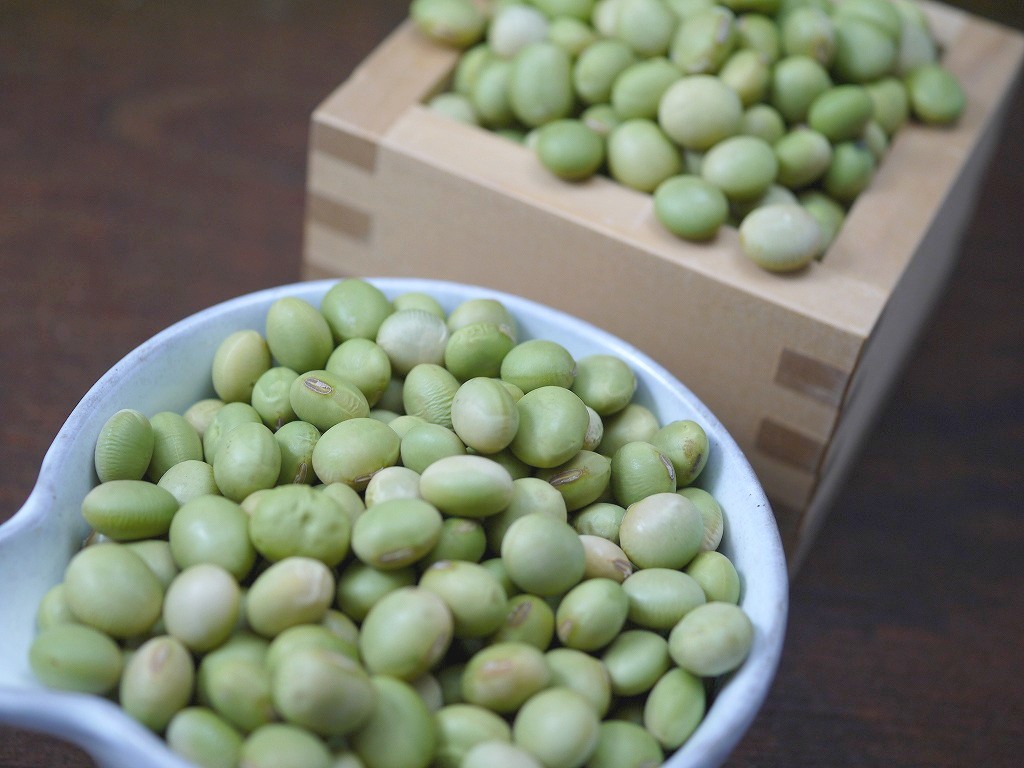 手作り味噌セット 秘伝豆 玄米麹 （40Lポリ樽付 こだわり食塩）