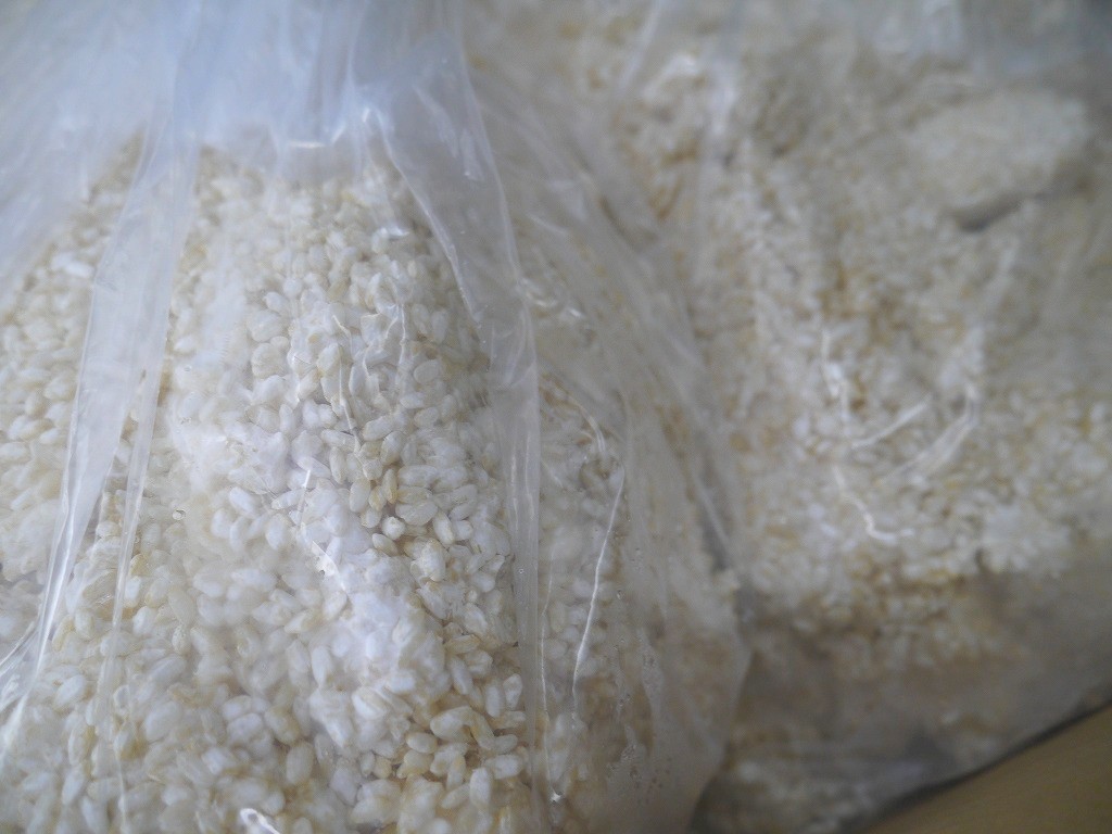 無農薬 有機肥料 玄米麹 生麹（5kg×2個）