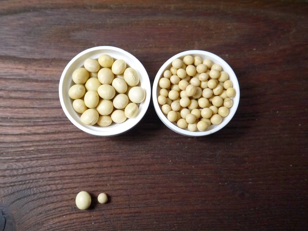【セール品】令和3年産 無農薬 有機肥料 すずかおり 極小大豆(30kg)