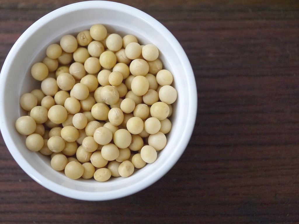 無農薬 特別栽培 大豆 おおすず 国産 乾燥 1kg 【​限​定​販​売​】