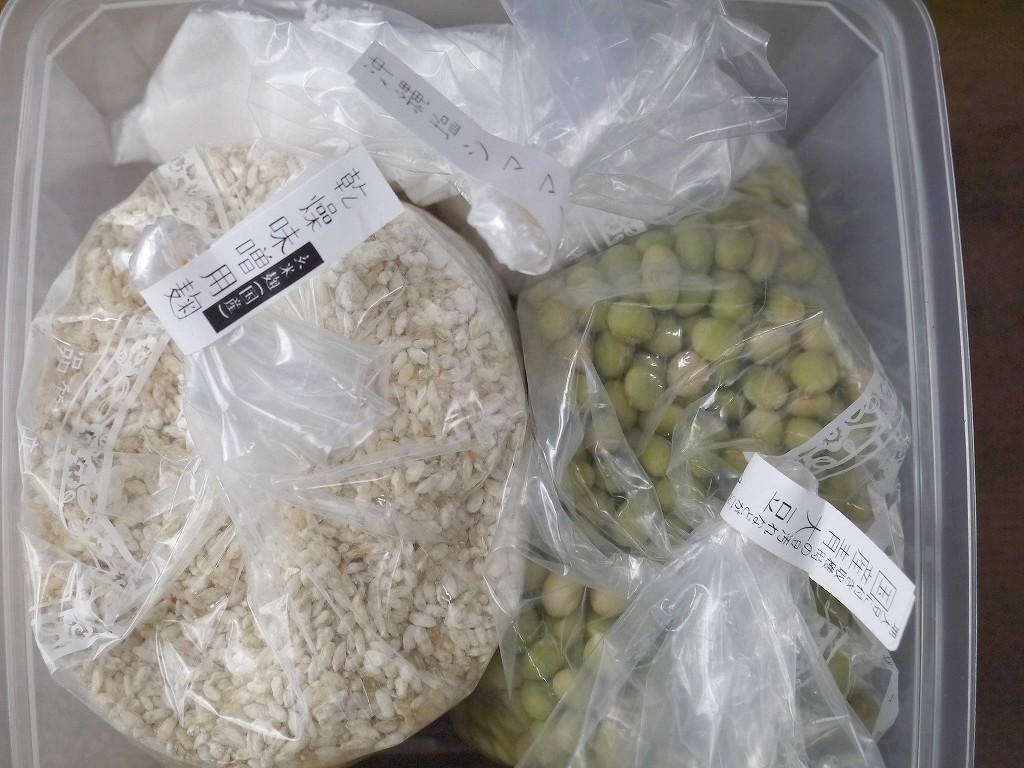 発酵容器でかんたん 味噌作りキット 玄米麹+秘伝豆（2L発酵容器付）