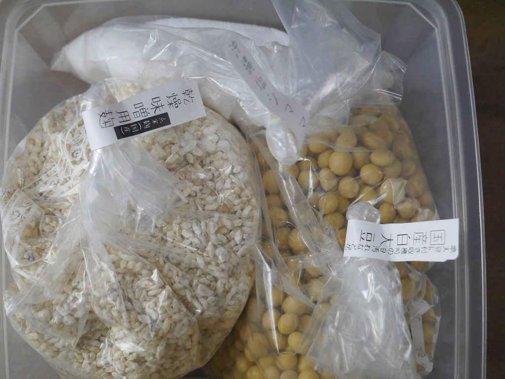 発酵容器でかんたん 味噌作りキット 玄米麹+白大豆（2L発酵容器付）