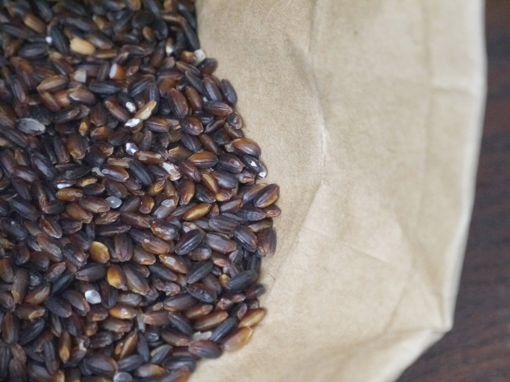 古代米 無農薬 有機肥料 黒米うるち米 奥の紫（30kg）