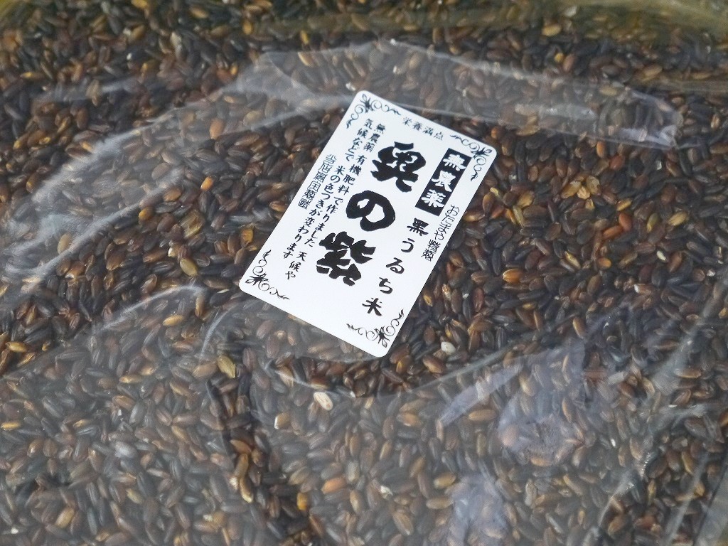 古代米 無農薬 有機肥料 黒米うるち米 奥の紫(800g)送料無料