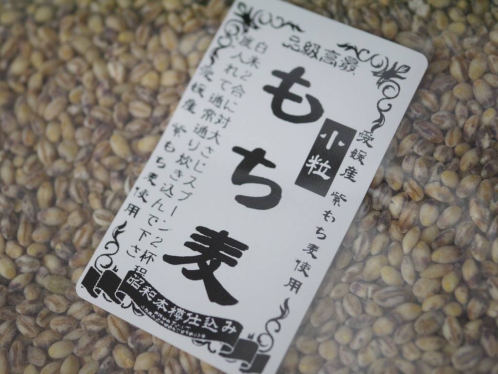 もち麦 小粒 ダイシモチ(800g)送料無料