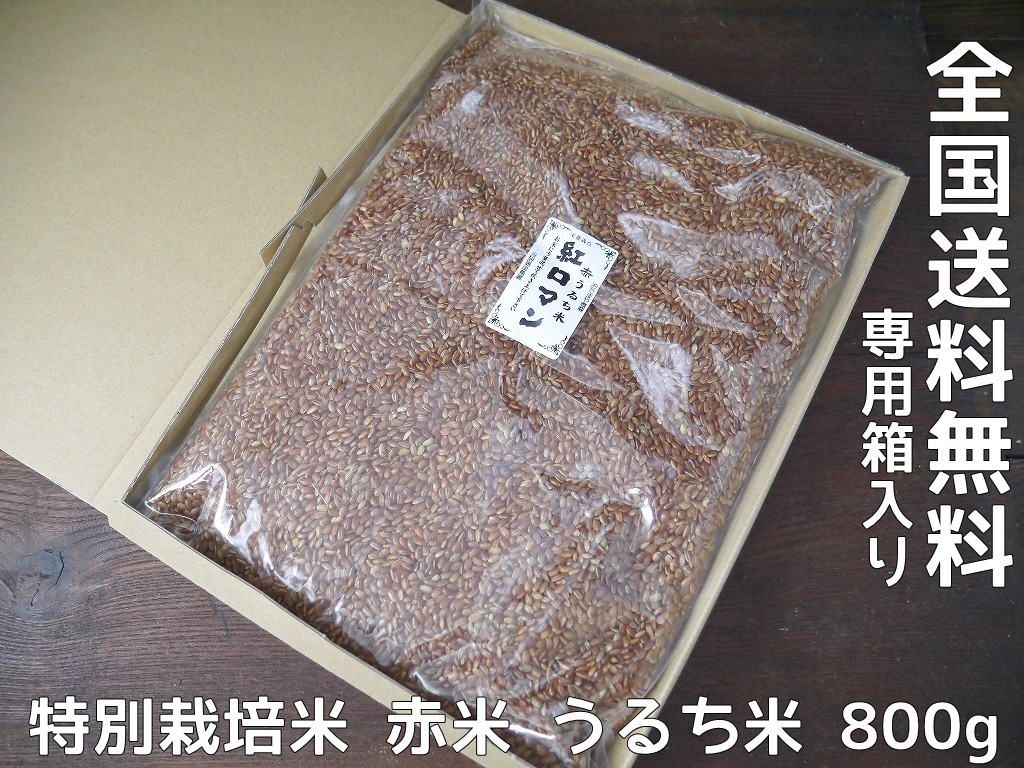 古代米 無農薬 有機肥料 赤米うるち米 紅ロマン(800g)送料無料