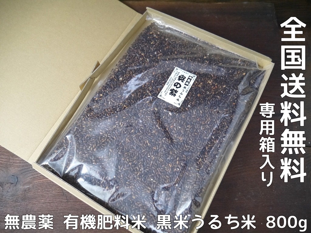 古代米 無農薬 有機肥料 黒米うるち米 奥の紫(800g)送料無料