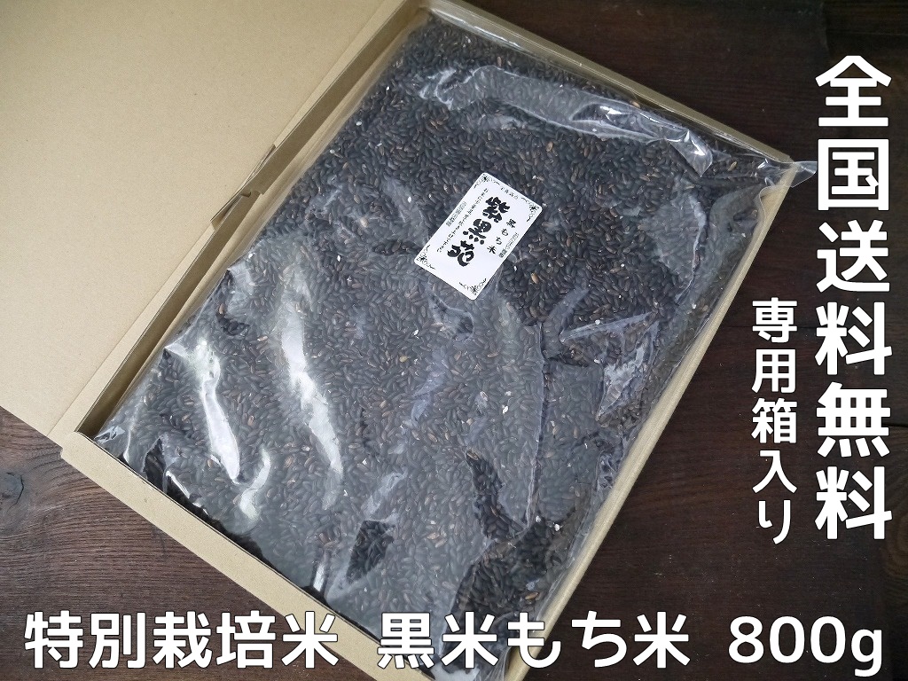 古代米 黒米もち米 紫黒苑（800g）送料無料