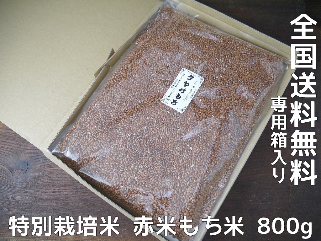 古代米 赤米もち米 夕やけもち(800g)送料無料