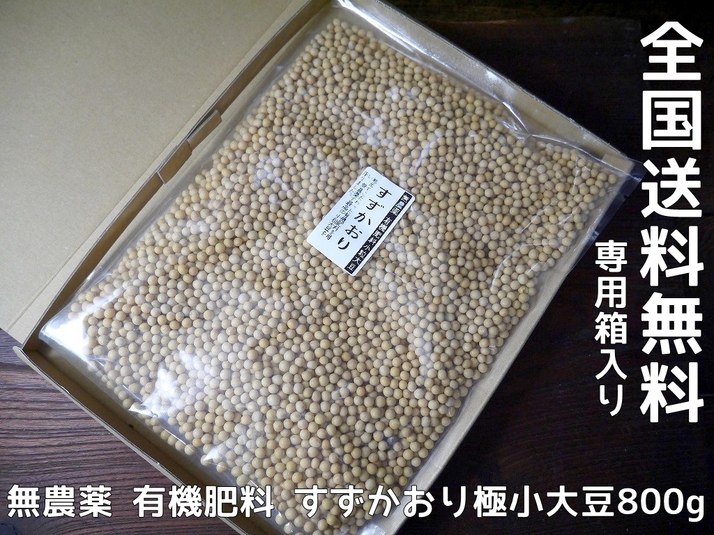 無農薬 有機肥料 すずかおり 極小大豆（800g）送料無料