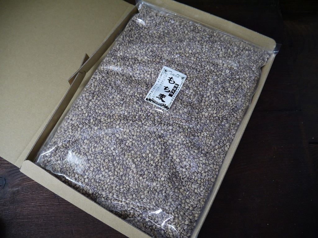 もち麦 特選大粒 ダイシモチ 紫(800g)送料無料