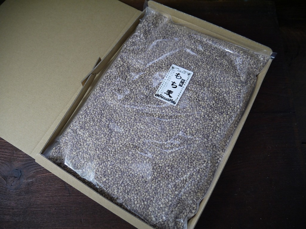 もち麦 小粒 ダイシモチ(800g)送料無料