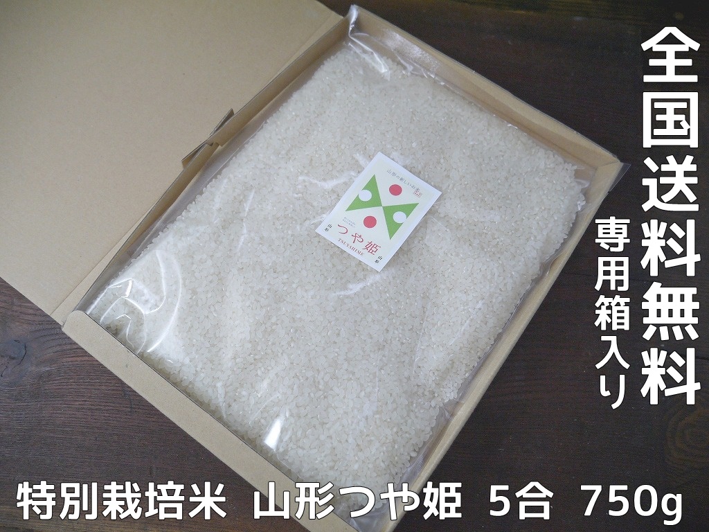 特別栽培米 山形県産 つや姫 米 5合(750g)送料無料
