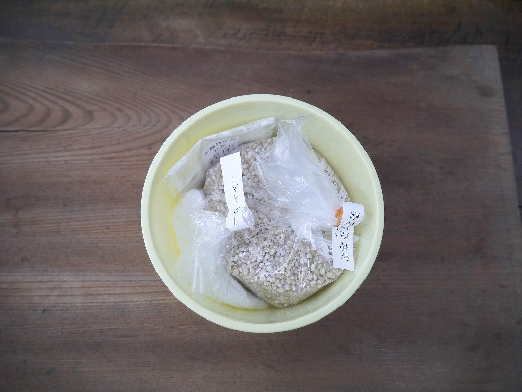 大麦塩麹 手作りキット 大麦麹（1Lポリ容器）