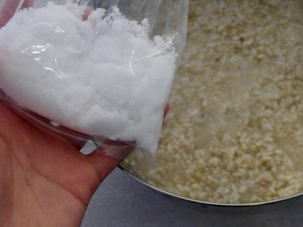 1kgポリ樽 大麦塩麹 手作りキット