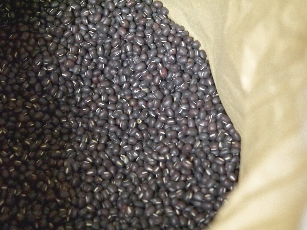 【訳あり】特別栽培 山形県産 黒あずき(30kg)
