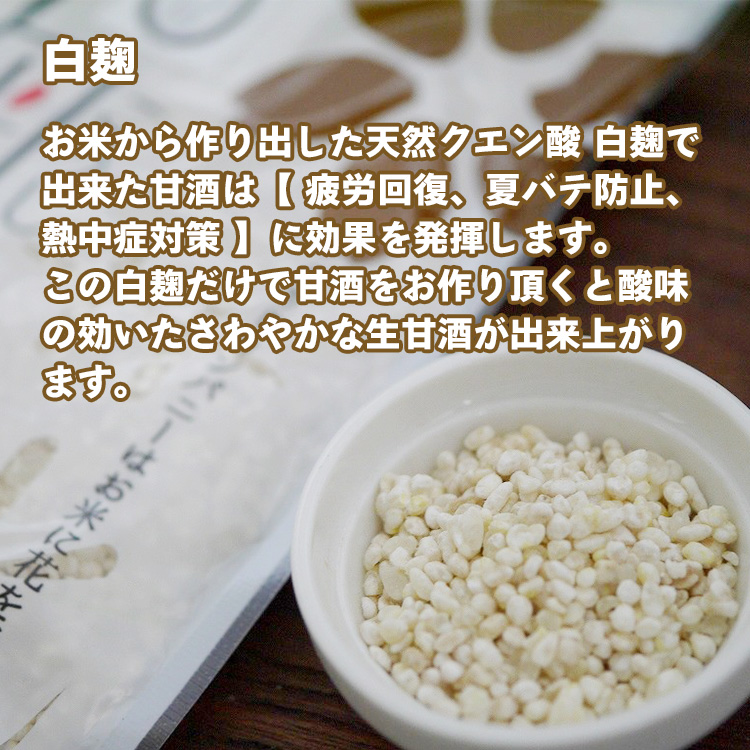 白麹