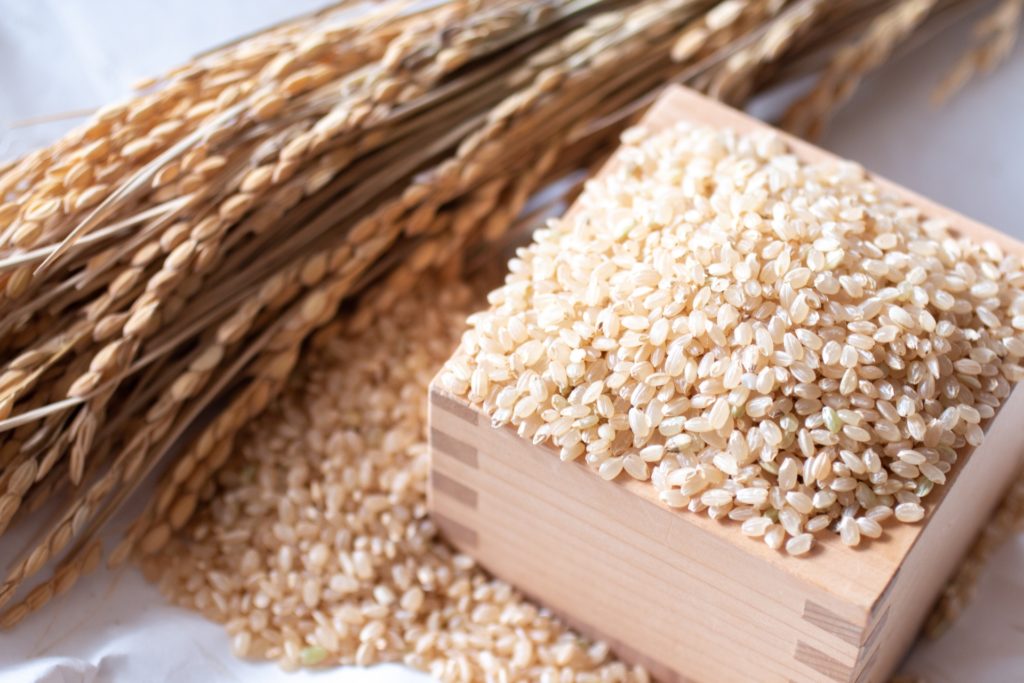 無農薬 有機肥料 玄米麹 生麹(5kg)